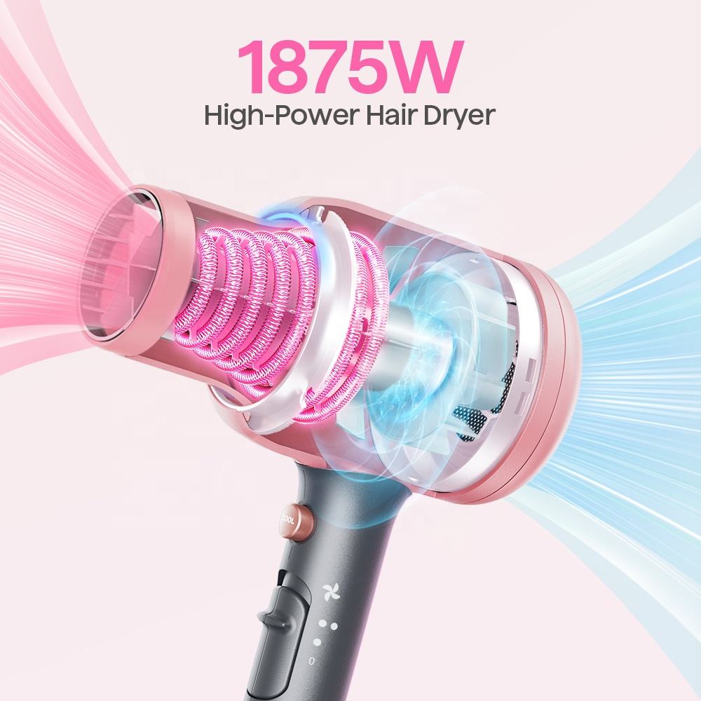 Blown Away Ionic Hair Dryer